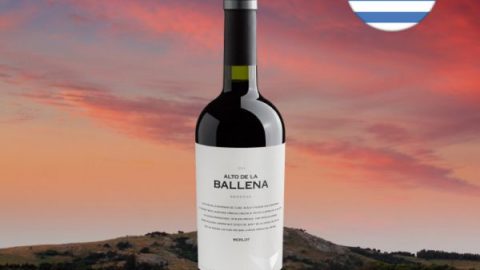 Alto De La Ballena Reserva Merlot 2016 - Oferta