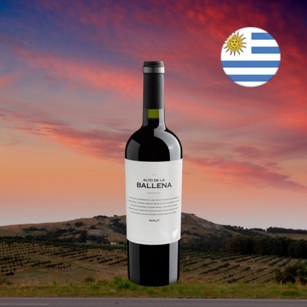 Alto De La Ballena Reserva Merlot 2016 - Oferta
