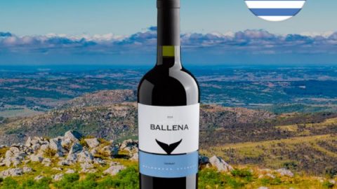 Alto De La Ballena Tannat 2019 - Oferta