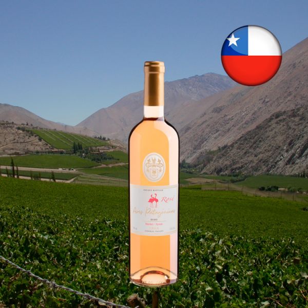 Aves Patagónicas Merlot-Syrah Rosé Central Valley 2020 - Oferta