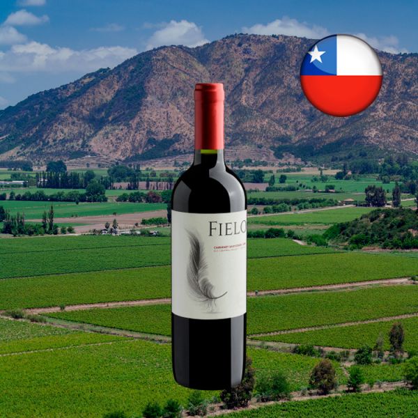 Fielo Cabernet Sauvignon 2019 - Oferta