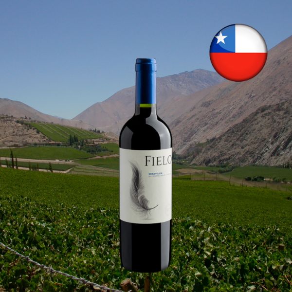 Fielo Merlot 2019 - Oferta