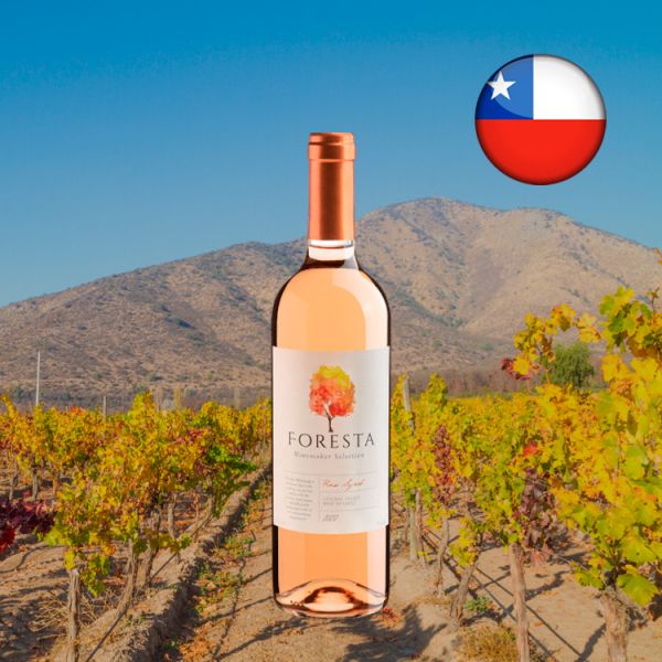 Foresta Winemaker Selection Rose Syrah Central Valley D.O. 2020 - Oferta