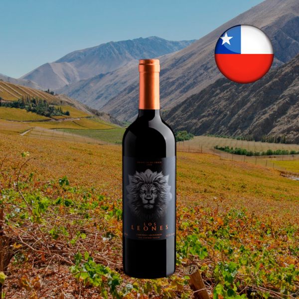 Los Leones Cabernet Sauvignon Central Valley D.O. 2020 - Oferta