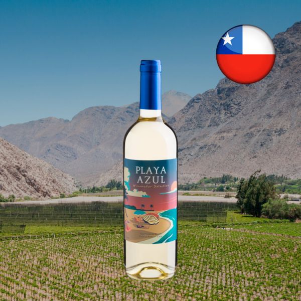 Playa Azul Sauvignon Blanc 2020 - Oferta