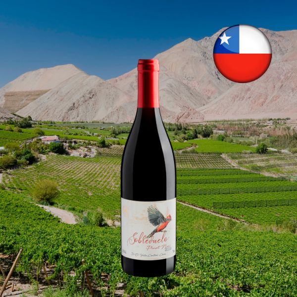 Sobrevuelo Pinot Noir Valle Central D.O. 2019 - Oferta