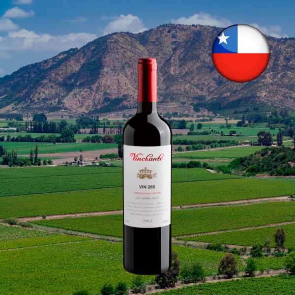 Vinchante Vin 266 Cabernet Sauvignon Central Valley 2018 - Oferta