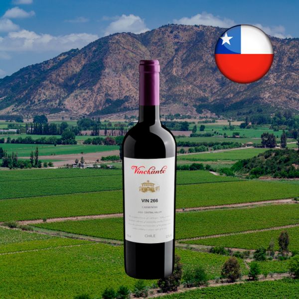 Vinchante Vin 266 Carménère Central Valley D.O. 2020 - Oferta