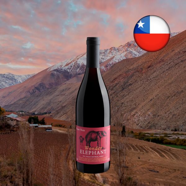 Wonder Elephant Pinot Noir Valle Central D.O. 2019 - Oferta