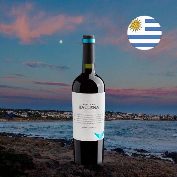 Alto De La Ballena Reserva Tannat - Viognier 2016 - Oferta