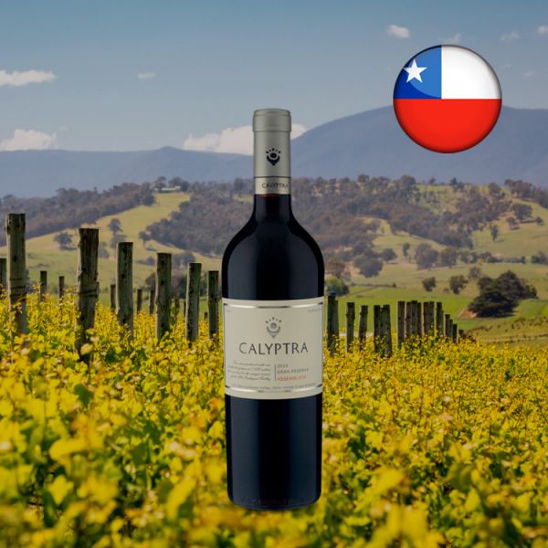 Calyptra Assemblage Gran Reserva 2016 - Oferta