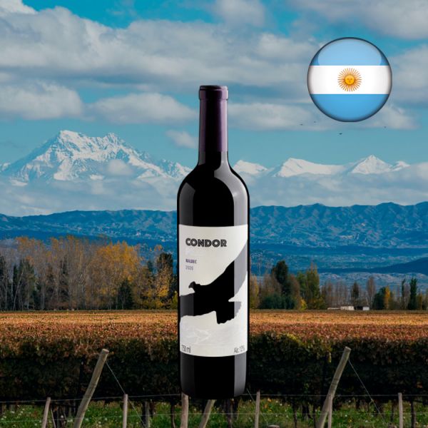 Condor Peak Malbec 2020 - Oferta