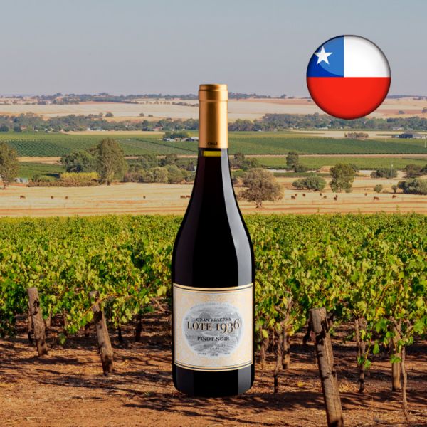 Lote 1936 Gran Reserva Pinot Noir 2019 - Oferta