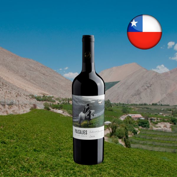 Paisajes de Los Andes Cabernet Sauvignon 2017 - Oferta