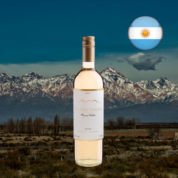 Punta Negra Rosé 2020 - Oferta