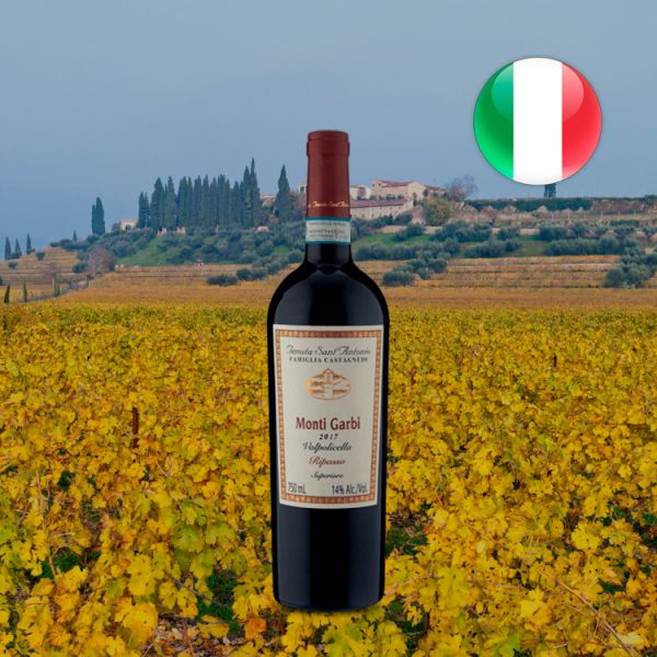 Tenuta SantAntonio Valpolicella Superiore Ripasso Monti Garbi 2017 - Oferta
