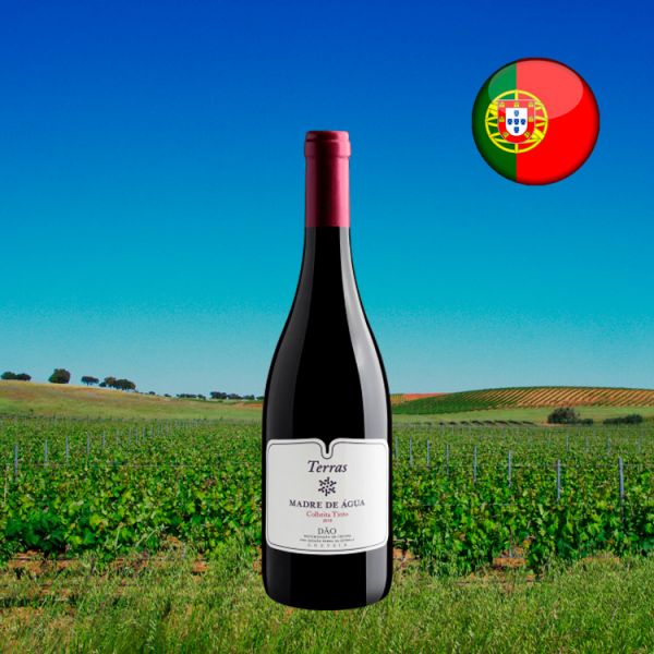 Terras Madre de Água Dão D.O 2018 - Oferta