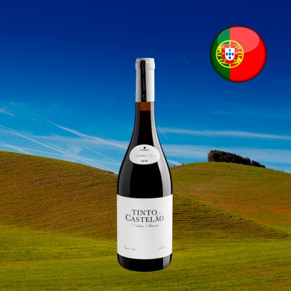 Tinto de Castelão by António Maçanita 2018 - Oferta