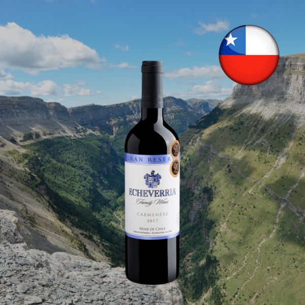 Echeverria Gran Reserva Carménère 2017 - Oferta