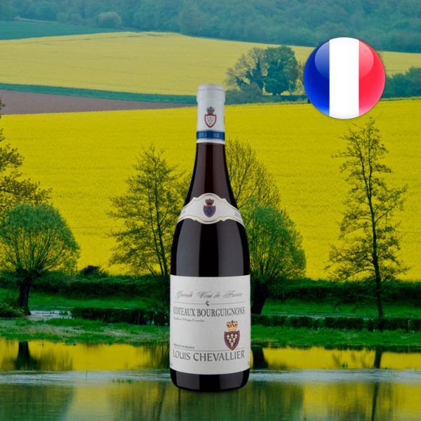 Louis Chevallier A.O.C. Coteaux Bourguignons 2019 - Oferta