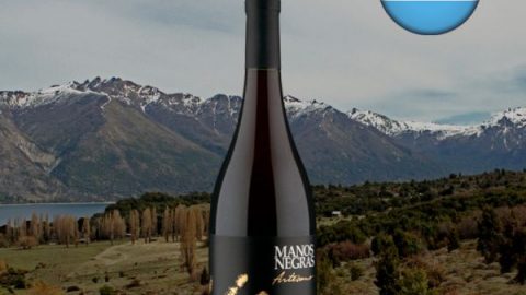 Manos Negras Artesano Pinot Noir 2018 - Oferta