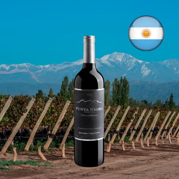 Punta Negra Cabernet Sauvignon 2019 - Oferta
