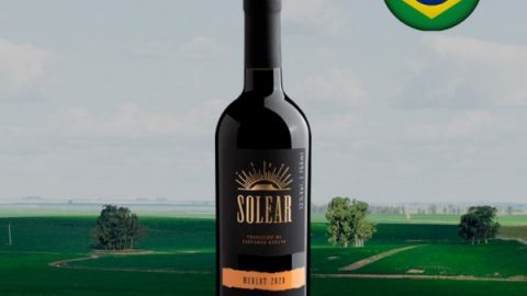 Solear Merlot 2020 - Oferta