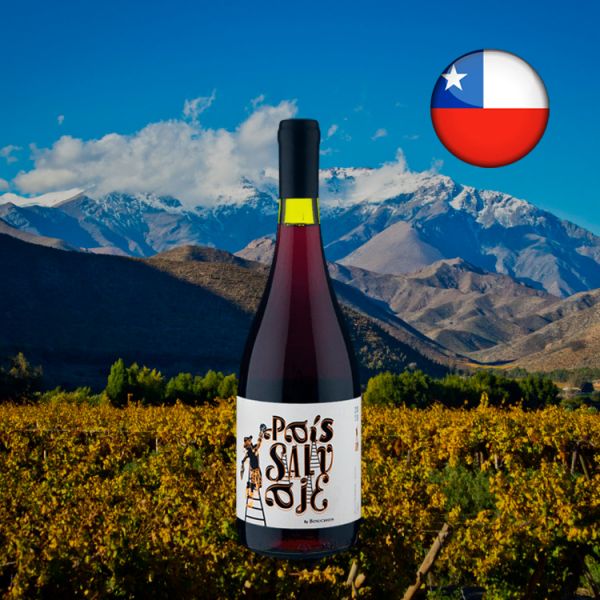 Viña Bouchon País Salvaje 2019 - Oferta