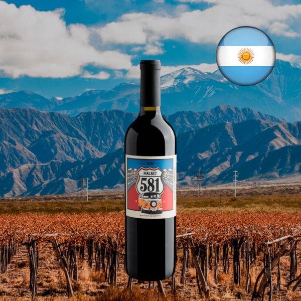581 Malbec 2020 - Oferta