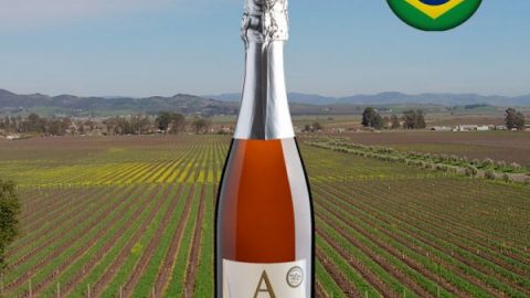 Alísios Moscatel - Oferta