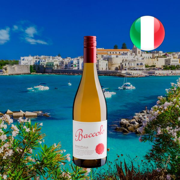 Baccolo Appassimento Bianco Puglia IGT 2020 - Oferta