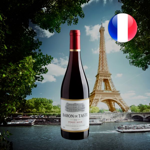 Baron de Taste Pinot Noir 2019 - Oferta