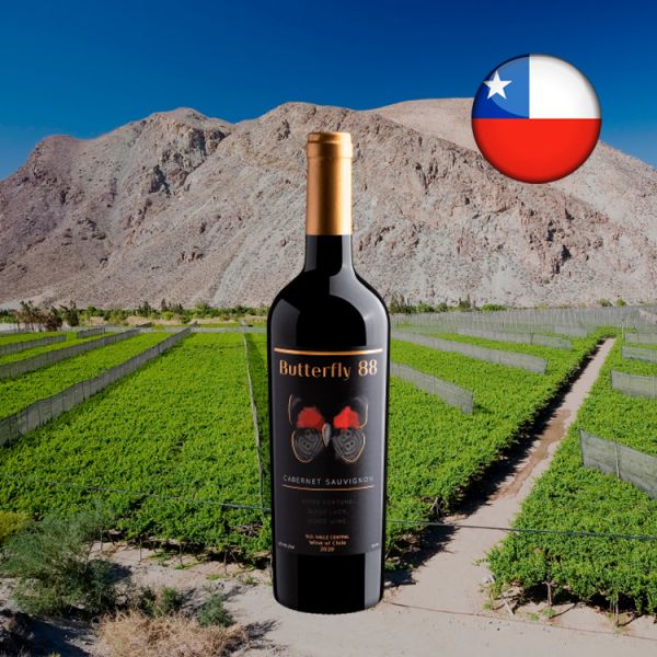 Butterfly 88 Cabernet Sauvignon Valle Central D.O. 2020 - Oferta