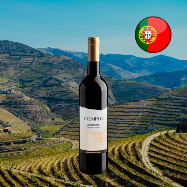 Exemplo DOC Douro 2019 - Oferta