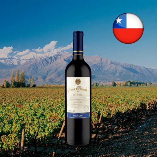 Finca Dorada Selección Especial Merlot 2020 - Oferta