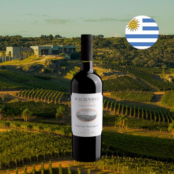 Haciendas del Uruguay Cabernet Sauvignon 2016 - Oferta