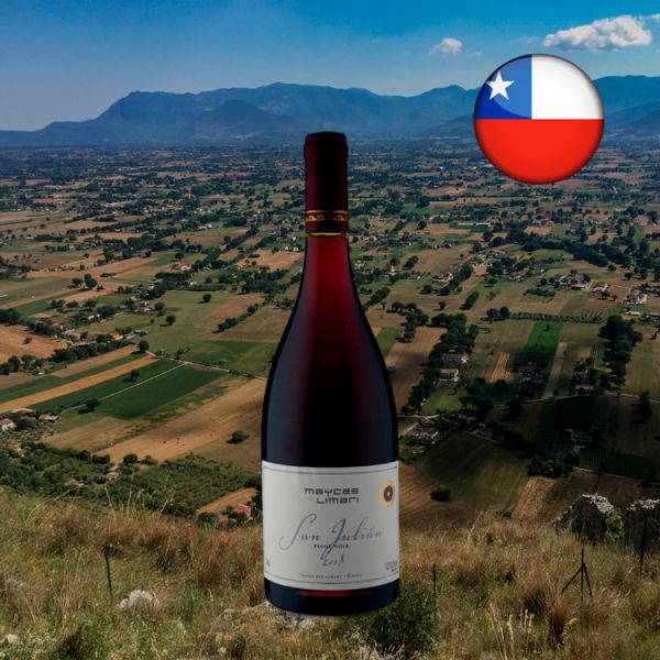 Maycas del Limari San Julian Pinot Noir 2018 - Oferta