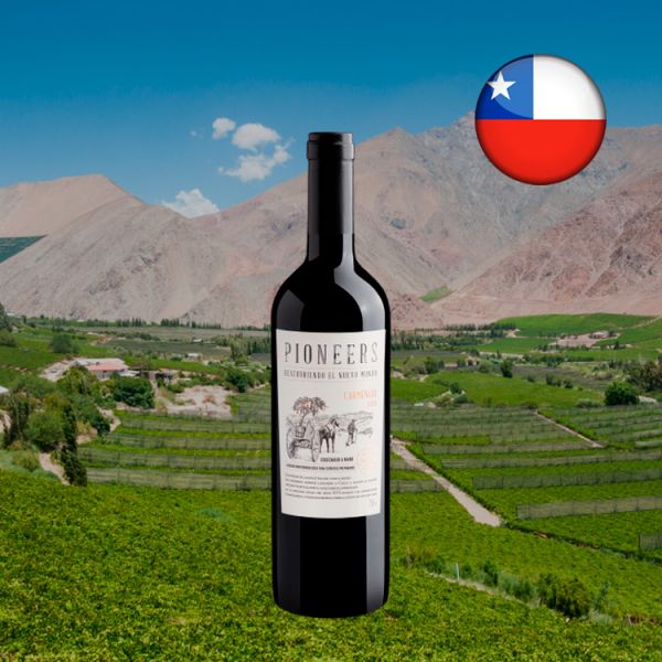 Pioneers Carménère 2020 - Oferta
