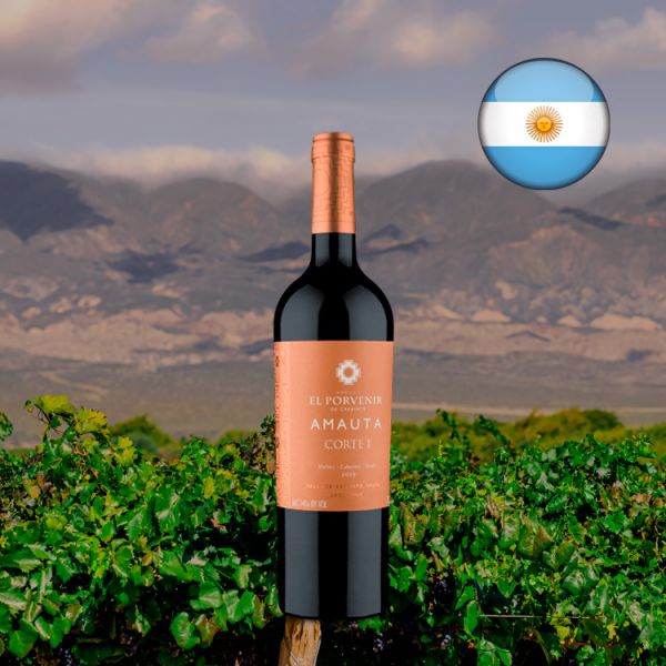 Amauta Corte I 2019 - Oferta