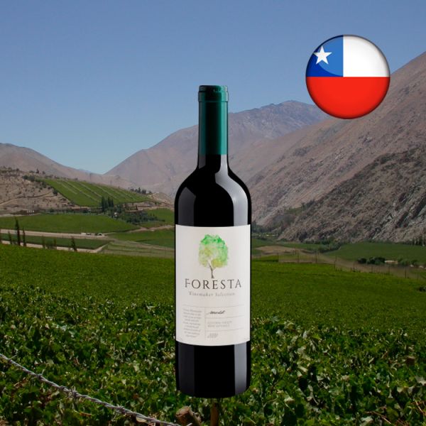 Foresta Winemaker Selection Merlot Central Valley D.O. 2020 - Oferta