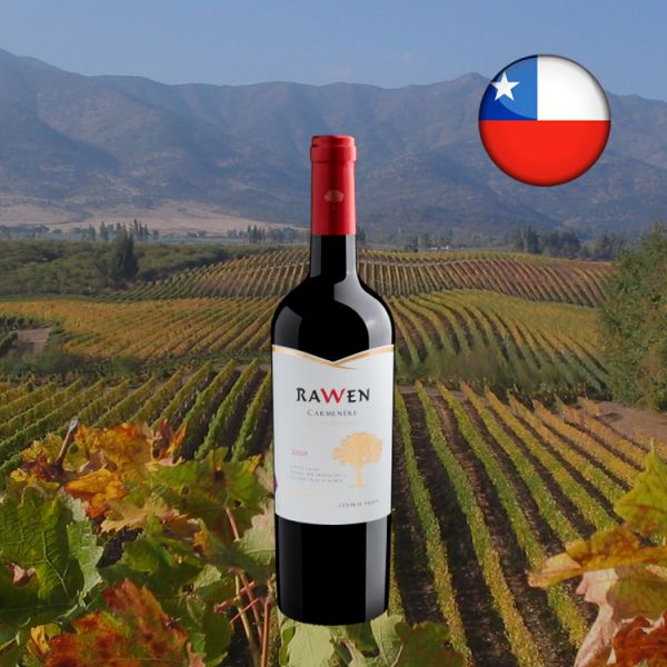 Rawen Carménère Estate Bottled 2020 - Oferta