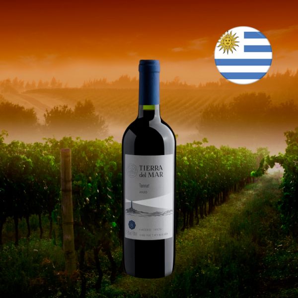 Tierra del Mar Tannat 2020 - Oferta