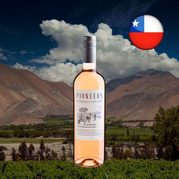 Pioneers Rosé 2020 - Oferta