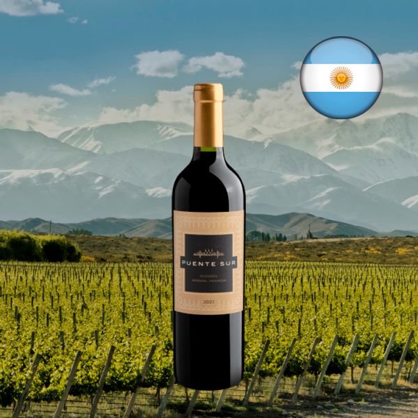 Puente Sur Bonarda 2021 - Oferta
