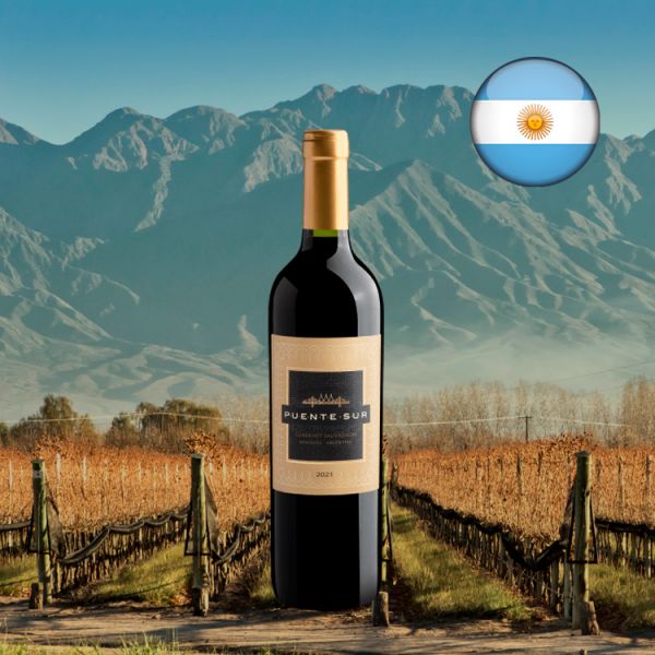 Puente Sur Cabernet Sauvignon 2021 - Oferta