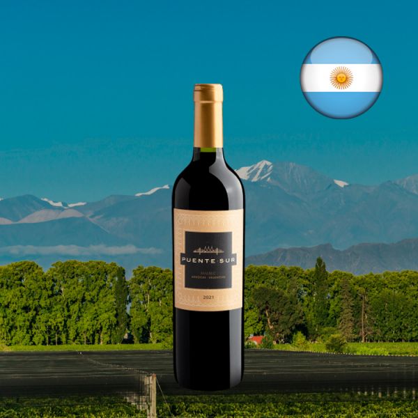 Puente Sur Malbec 2021 - Oferta