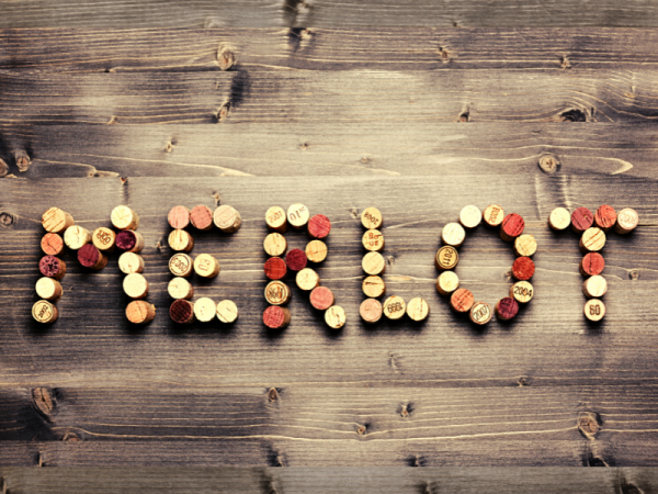 Vinho Merlot – Descubra como harmonizar e se surpreenda!