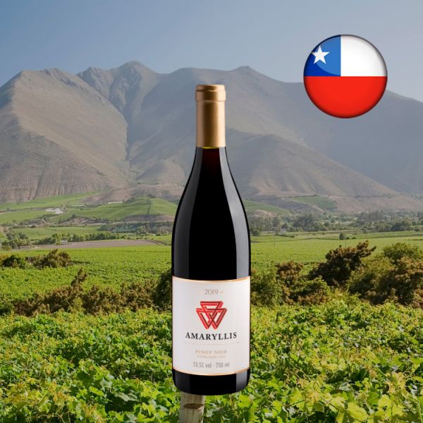 Amaryllis Pinot Noir 2019 - Oferta