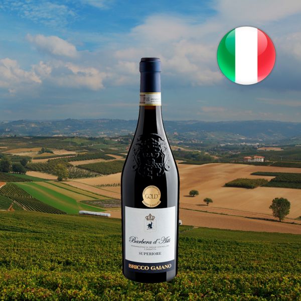 Bricco Gaiano Barbera d'Asti Superiore DOCG 2016 - Oferta