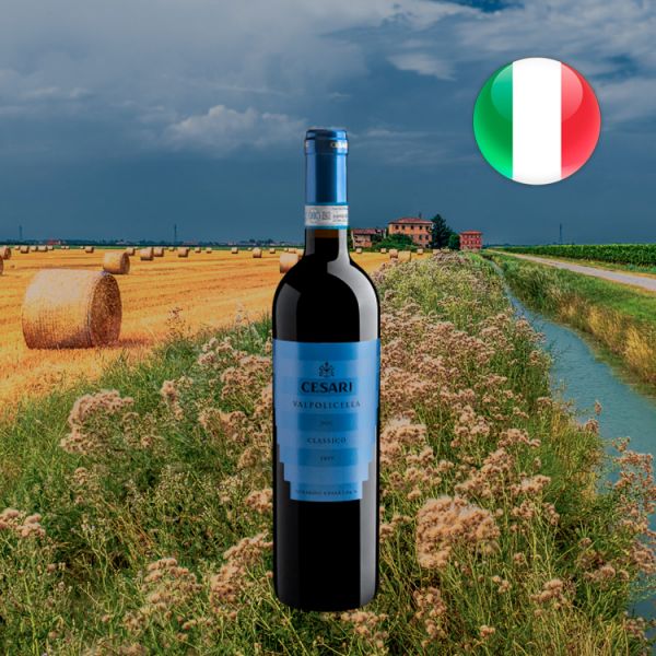 Cesari Valpolicella Classico DOCG 2019 - Oferta